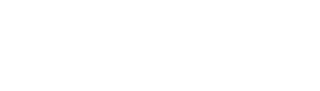 Czysta Spółka logo w stopce